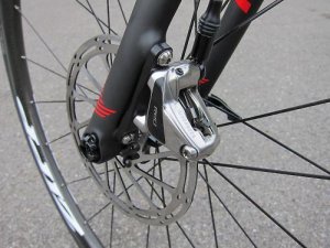 flatmount.JPG