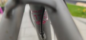 IMG_20201011_143519.jpg