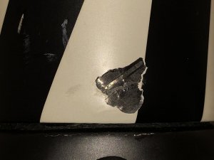 Cut1.jpg