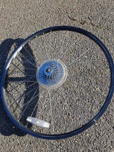 20201107_102920.jpg