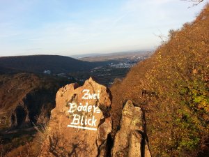 IMG_20201114_155742.jpg