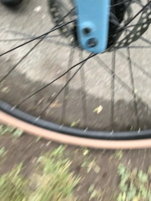 comp_IMG_2823.jpg