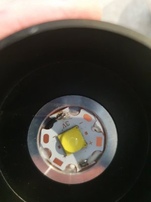 20210125_125112.jpeg