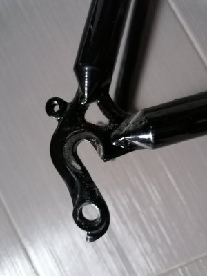 IMG_20201227_124658.jpg