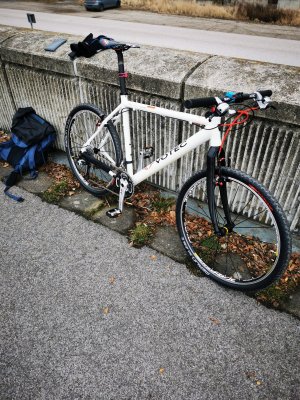 IMG_20210220_113539.jpg
