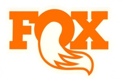 Mr Fox.jpg
