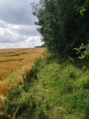 Wiesenpfadeinfahrt bei KIlometer 7,3.jpg