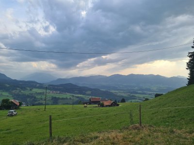 20210815_174341.jpg
