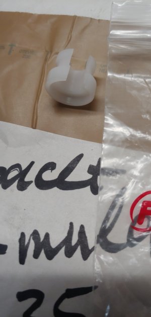 20210920_225153.jpg