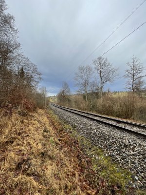 0EF076C7-A218-482A-9FF0-9D338587A694.jpeg