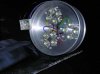 led12fach.jpg