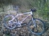 DSC00087.jpg