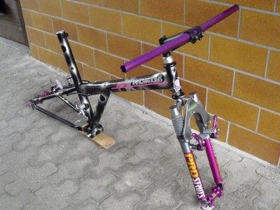 X Frame purple 2.jpg