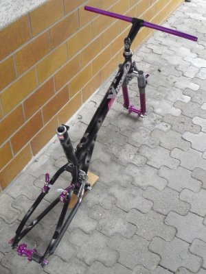 X Frame purple 3.jpg