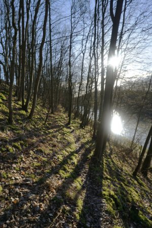 Trailpfad am Kanal mit S3 Charakter.JPG