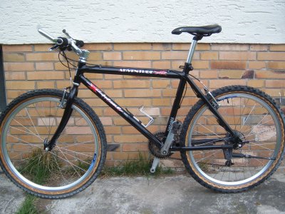 100_9956.JPG