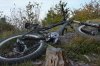 Gottesanbeterin-attacking-the-bike-klein.jpg