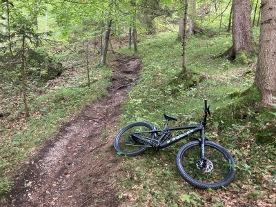 MTB Wald neu.jpg