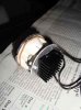 DSC06553kl.jpg
