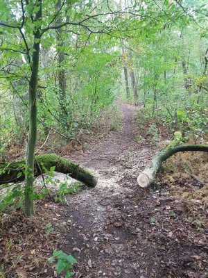 die Brücke war zu niedrig.jpg