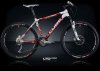 ltd_pro_red-09.jpg