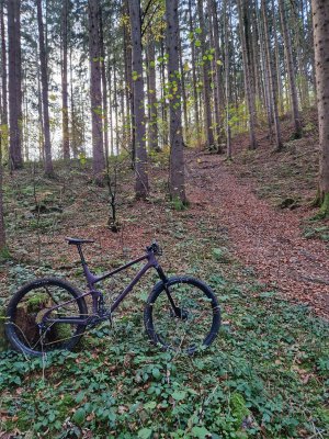 20221108_162109-01.jpeg