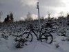 snowbiken02012009.jpg