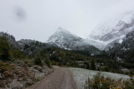 _DSC3979.jpg