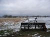 RIMG0175.jpg