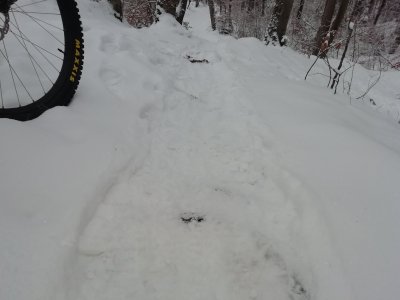 IMG_20221218_082552.jpg