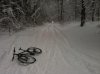 IMG_0016a.jpg