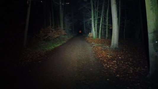 20230111_200823.jpg