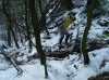 2010_03060024.jpg
