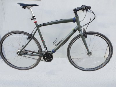 Felt (1) - Kopie.jpg