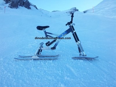 Snowbike 2016 (4).jpg