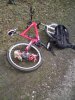 DSC00606.jpg