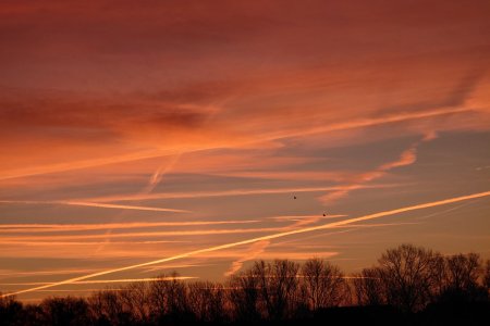 20230209_073946.JPG