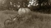 2010-06-22_19-39-42_854.jpg