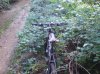 DSC00024.jpg