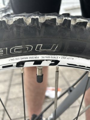 IMG_5282.jpeg