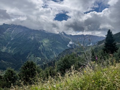 IMG_8160.jpeg