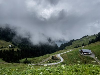 IMG_8170.jpeg