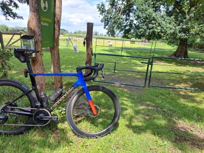 SSE4 54 79 seat height.jpg
