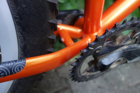 starrkona_details2.JPG