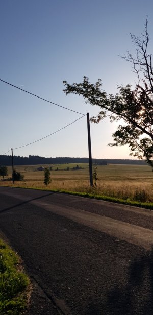 20230823_185451.jpg