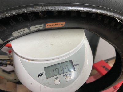 IMG_7644.jpeg