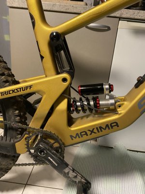 IMG_6308.jpeg
