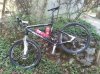2011-04-19 16.57.20.jpg
