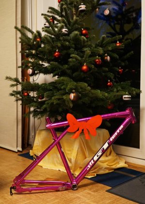 Weihnachten 2023 (20).JPG