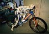 dead-biker-1.jpg